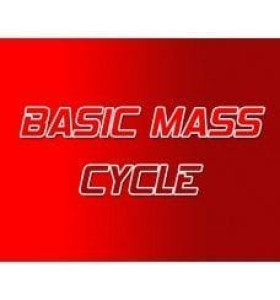 Buy Basic Mass Steroid Cycle 