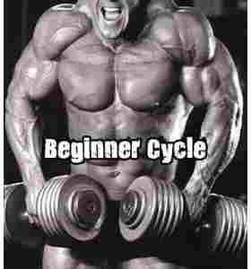 Buy Beginner Steroid Cycle 