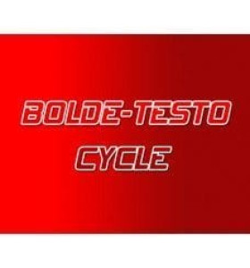 Bolde - Testo Cycle - BOLDETEST -