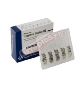 Testosterone Enanthate 1 amp 250 mg Aburaihan - ABUTE - Aburaihan