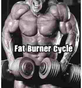 Fat Burner Cycle - FATBURN -