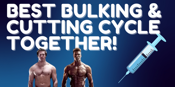 Best anabolic steroid cycle cutting-bulking