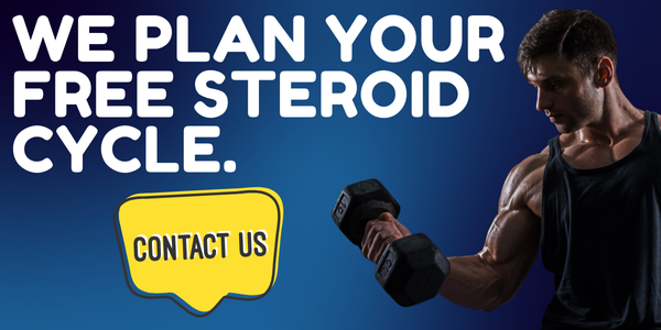 Free Anabolic Steroid Cycle Planner